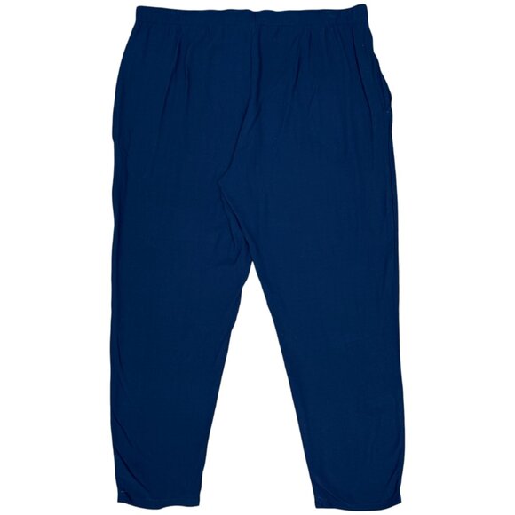 EUC Women's EILEEN FISHER Georgette Crepe Silk Pull-On Pant w/Pockets | Size PL - Picture 4 of 7